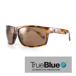 Sundog Eyewear Sundog Fringe Eyeware - True Blue - Brown Demi / Brown